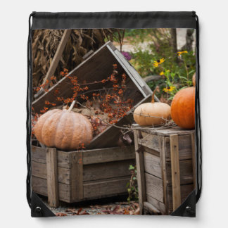 North Carolina, Linville, autumn pumpkins Drawstring Bag