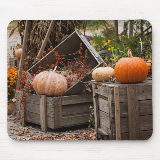 North Carolina, Linville, autumn pumpkins Mouse Pad (Front)