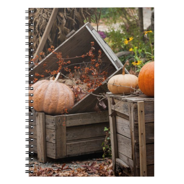 North Carolina, Linville, autumn pumpkins Notebook (Front)