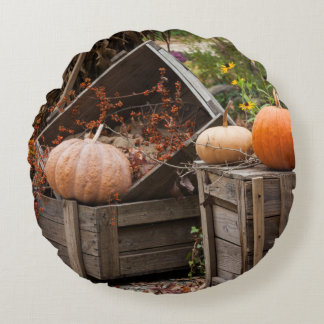 North Carolina, Linville, autumn pumpkins Round Pillow