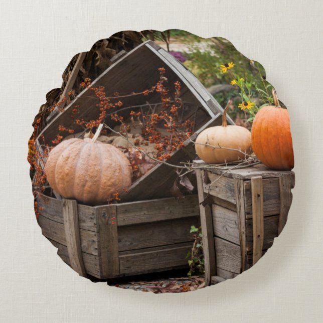 North Carolina, Linville, autumn pumpkins Round Pillow (Front)