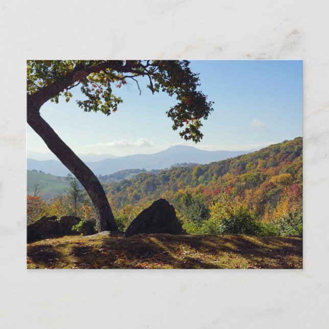 North Carolina Mountains Postcard (Front)
