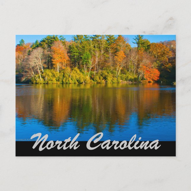 north carolina postcard (Front)