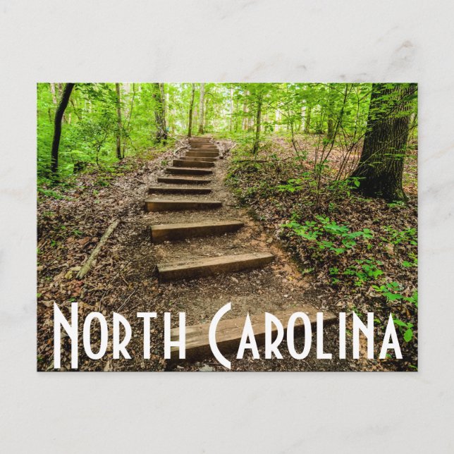 north carolina postcard (Front)