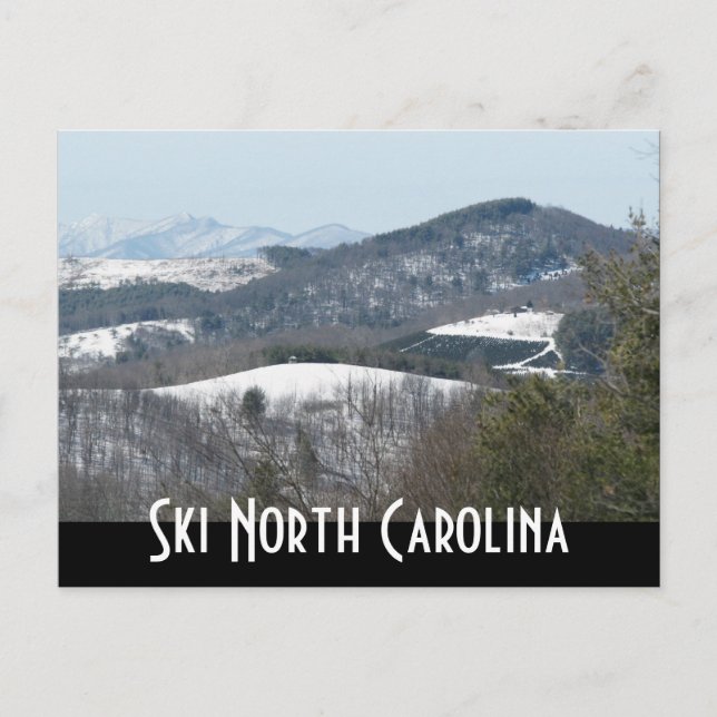 north carolina postcard (Front)