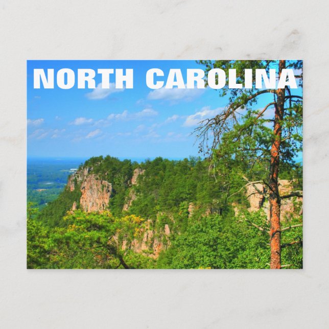 north carolina postcard (Front)