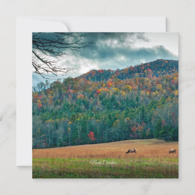 North Carolina scenic meadow (labeled) Card (Front)
