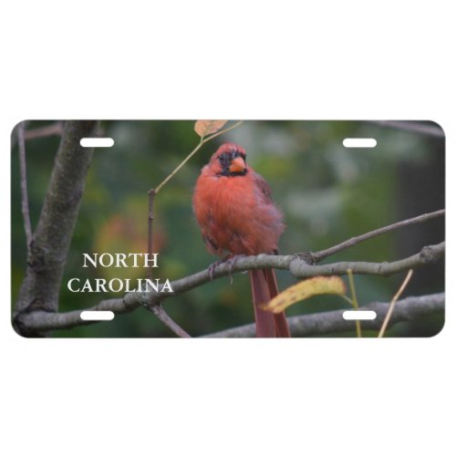 North Carolina State Bird License Plate