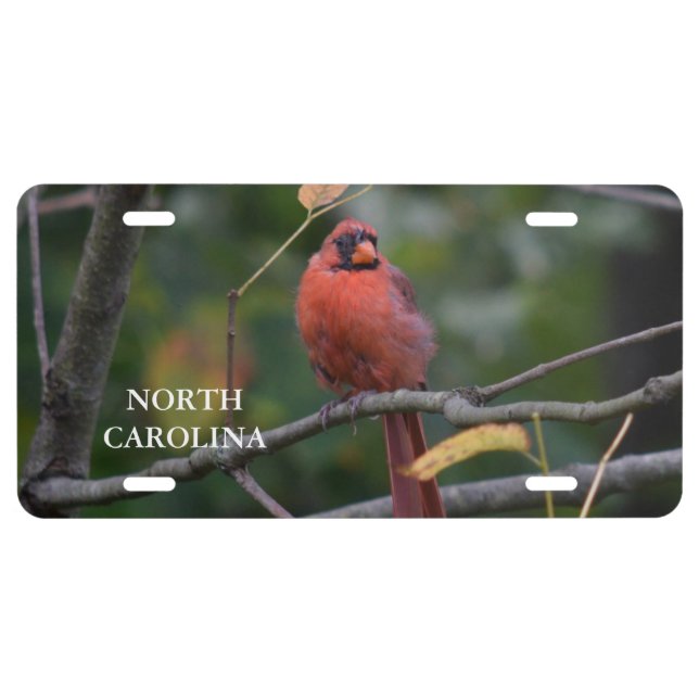 North Carolina State Bird License Plate (Front)