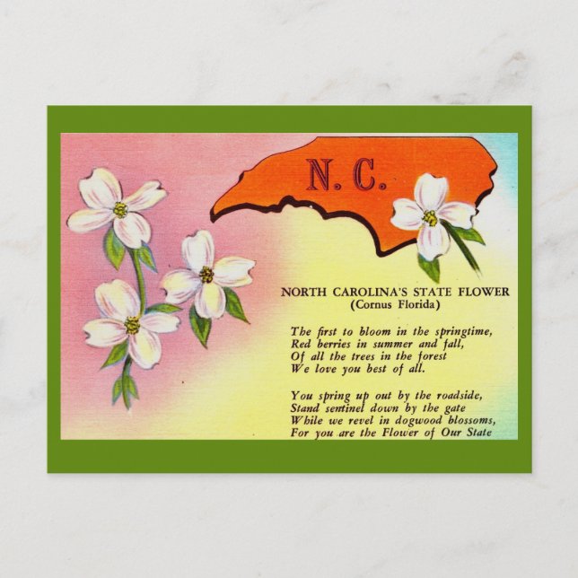 North Carolina State Flower Postcard (Front)