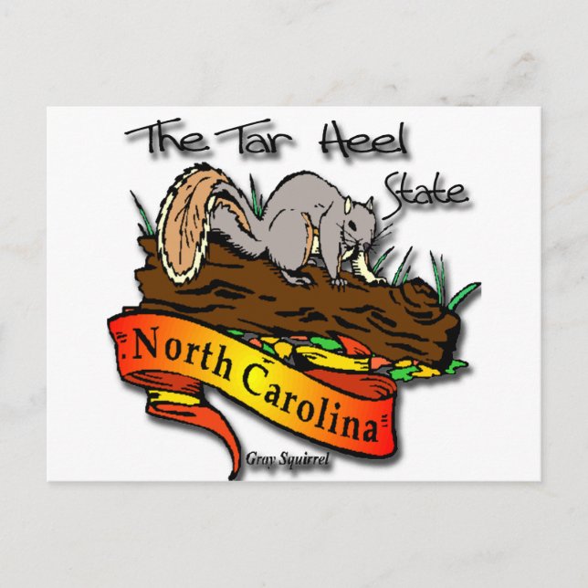 North Carolina Tar Heel State Gray Squirrel Postcard (Front)