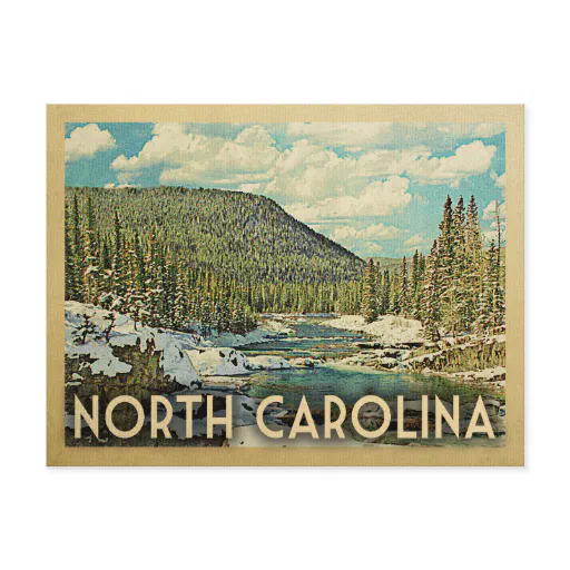 North Carolina Vintage Travel Snowy Winter Nature Postcard