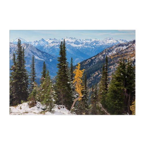 North Cascade Mountains Wenatchee National Forest Acrylic Print