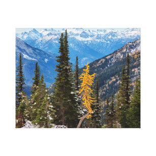 North Cascade Mountains Wenatchee National Forest Canvas Print