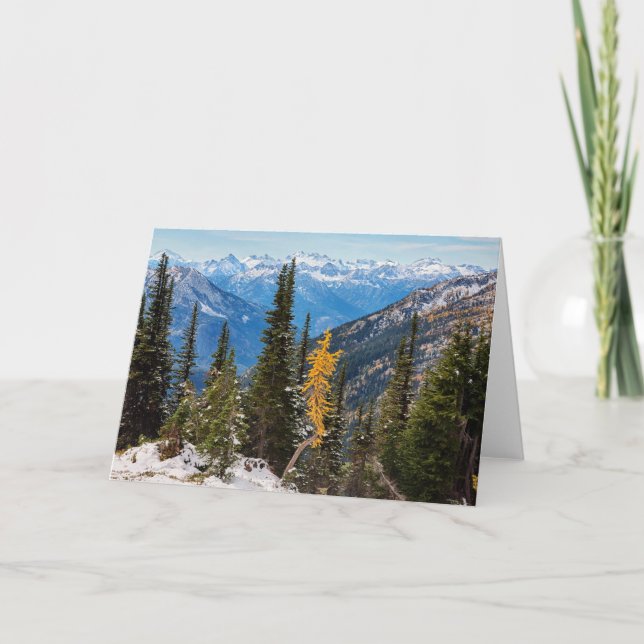 North Cascade Mountains Wenatchee National Forest Card (Front)