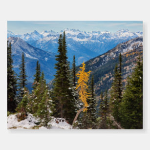 North Cascade Mountains Wenatchee National Forest Foam Board