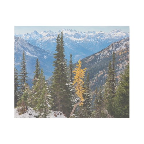 North Cascade Mountains Wenatchee National Forest Gallery Wrap
