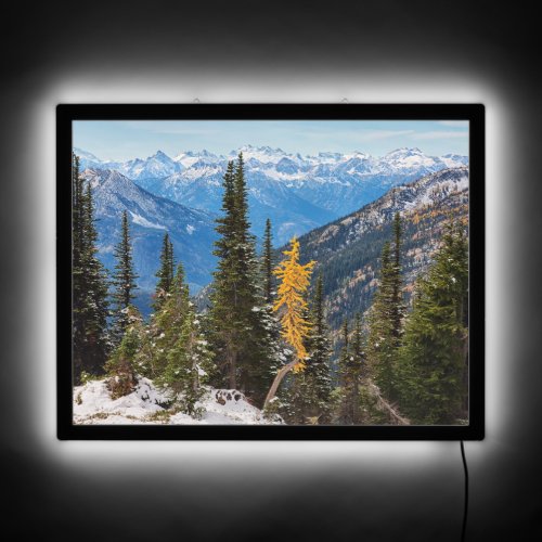 North Cascade Mountains Wenatchee National Forest LED Sign