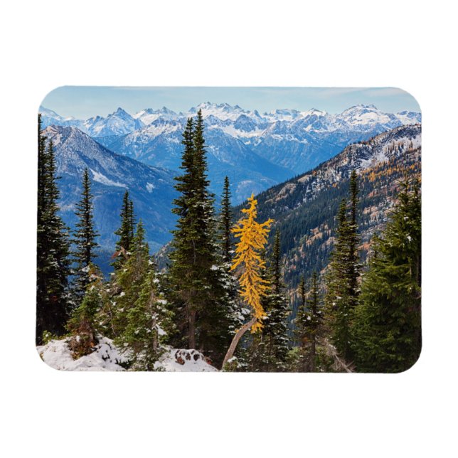 North Cascade Mountains Wenatchee National Forest Magnet (Horizontal)