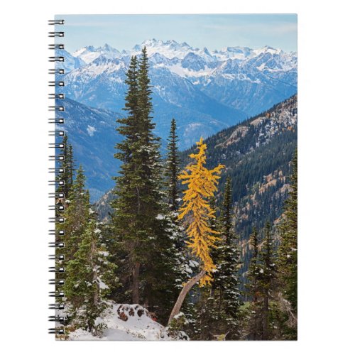 North Cascade Mountains Wenatchee National Forest Notebook