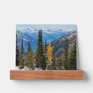 North Cascade Mountains Wenatchee National Forest Picture Ledge