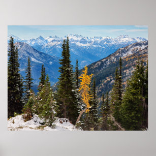 North Cascade Mountains Wenatchee National Forest Poster