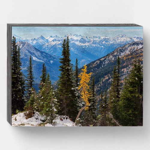 North Cascade Mountains Wenatchee National Forest Wooden Box Sign