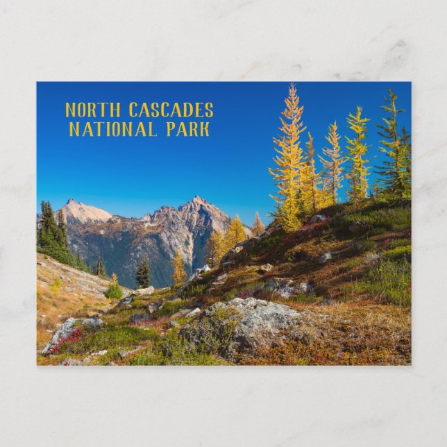 North Cascades Autumn Color Postcard (Front)
