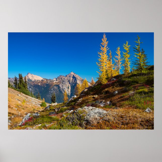 North Cascades Autumn Color Poster (Front)