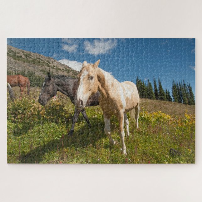 North Cascades National Park Jigsaw Puzzle (Horizontal)