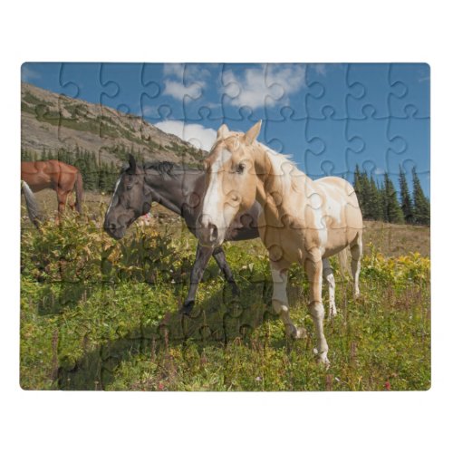 North Cascades National Park Jigsaw Puzzle
