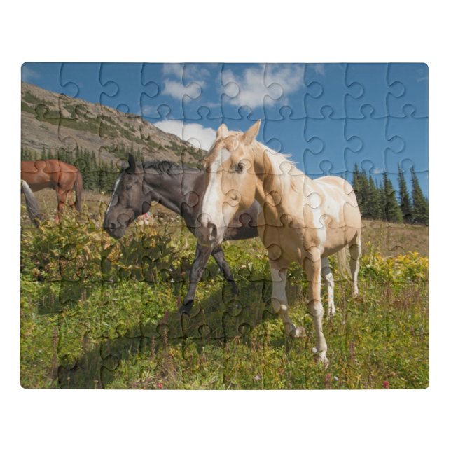 North Cascades National Park Jigsaw Puzzle (Puzzle Horizontal)
