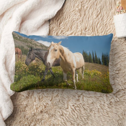 North Cascades National Park Lumbar Pillow