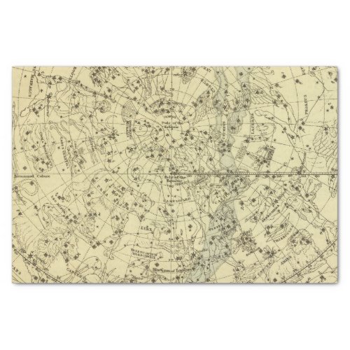 North Celestial Hemisphere Tissue Paper