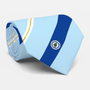 North Charleston (S. Carolina) city flag Neck Tie