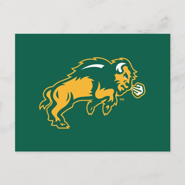 North Dakota Bison Invitation Postcard (Front)