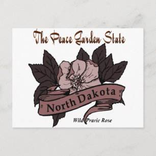North Dakota Peace Garden State Prarie Rose Postcard