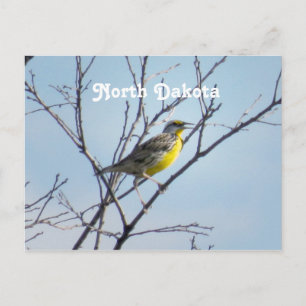 North Dakota Postcard