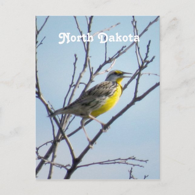 North Dakota Postcard (Front)