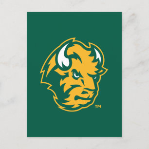 North Dakota State Bison Head Invitation Postcard