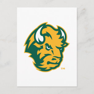 North Dakota State Bison Head Postcard