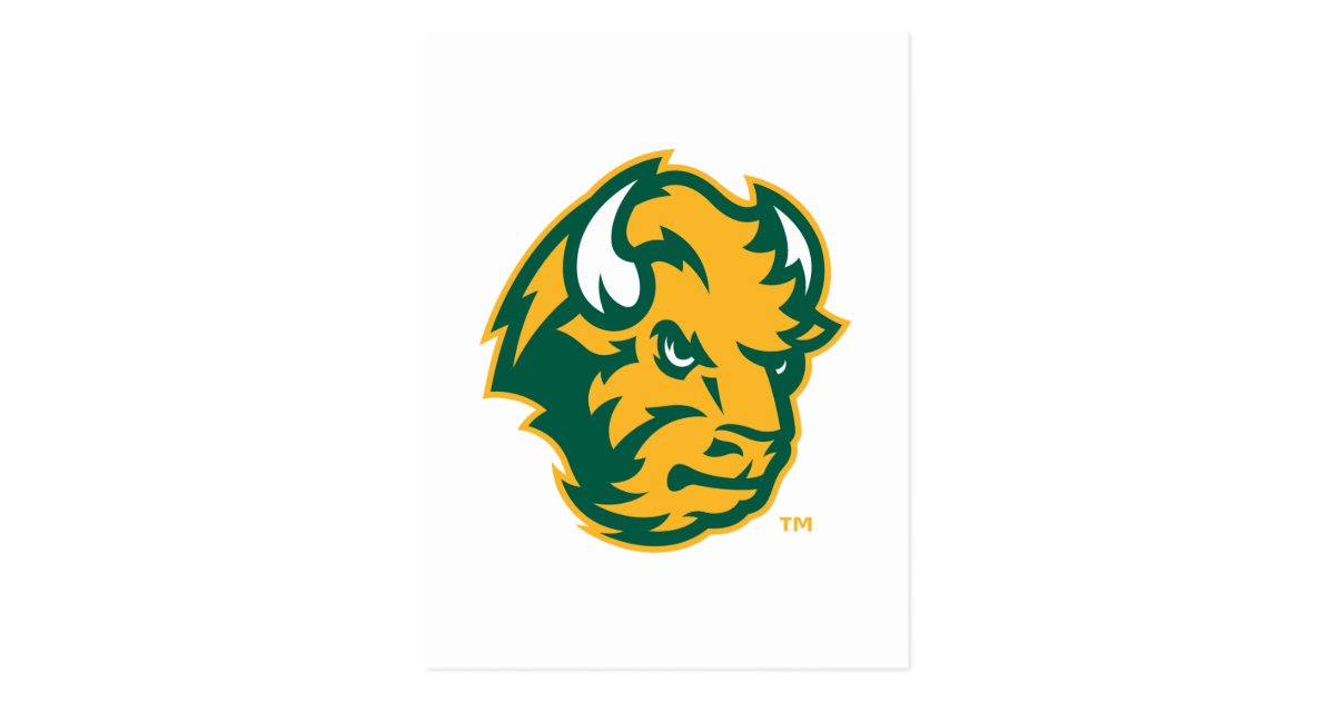 North Dakota State Bison Head Postcard Zazzle Com
