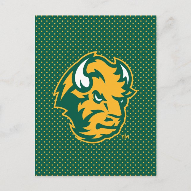 North Dakota State Polka Dot Pattern Postcard (Front)