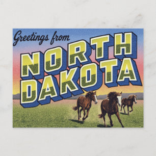 North Dakota Wild Horses Prairie Postcard