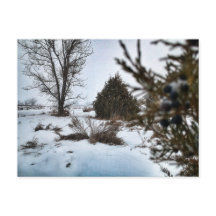 North Dakota Winter Snowstorm