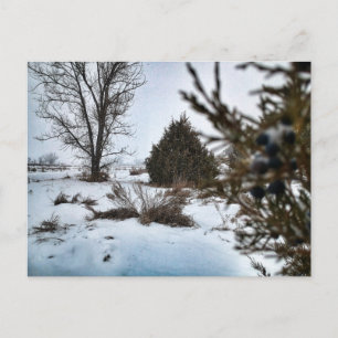 North Dakota Winter Snowstorm Postcard