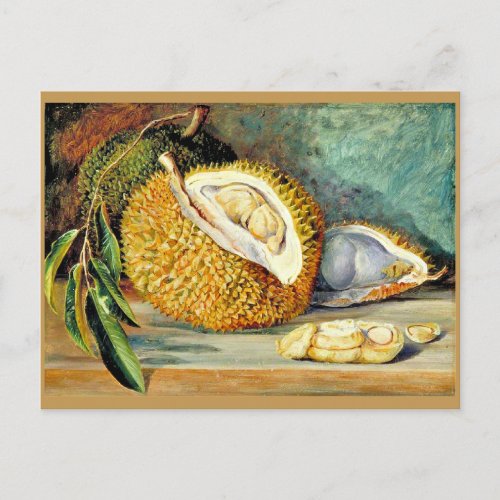 North _ Durian fruit from a large tree Postcard