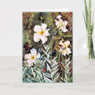 North - Flannel flower of Casa Branca, Butterflies Card
