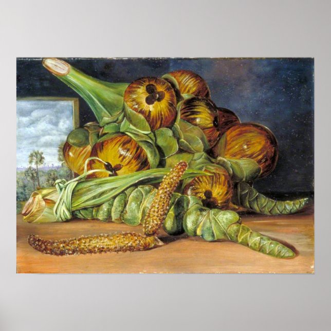 North - Flowers, Fruit, Palmyra Palm, Java 1870 Poster (Front)