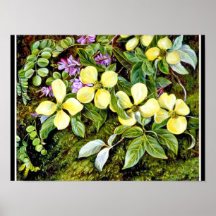 North - Flowers of a Dogwood and an Indigo, floral Poster
